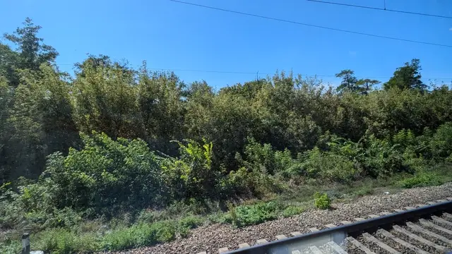 the view from a train window: green scrub and rails running under a hard blue sky
