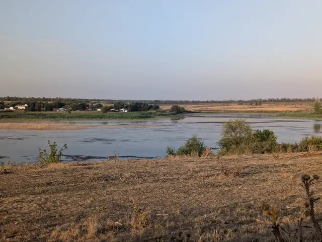 a wide backwater at golden hour, a village on the far bank, dry grass in the foreground