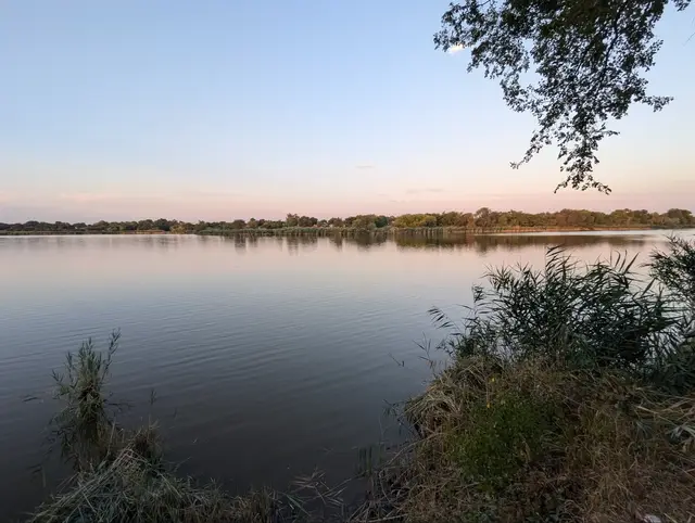 a broad calm lake at sunset, a treeline on the far shore, reeds leaning in from the right
