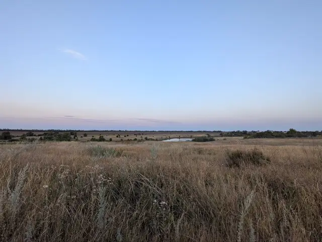 dry steppe at dusk with a small pond in the distance under a pale pink sky