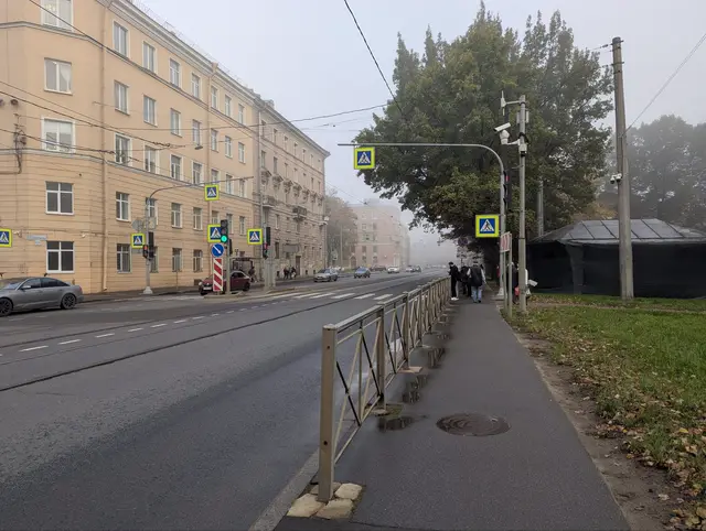 a wide avenue in morning fog, the far end of it already gone, a big tree leaning over the pavement