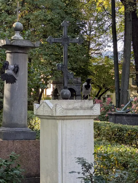 two hooded crows perched on a granite column and an iron cross in a churchyard