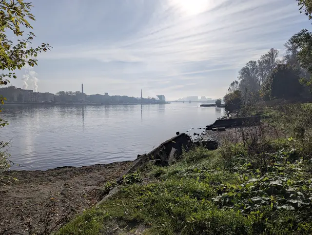 a wild grassy bank of the neva in hazy sun, factory chimneys and steam on the far shore