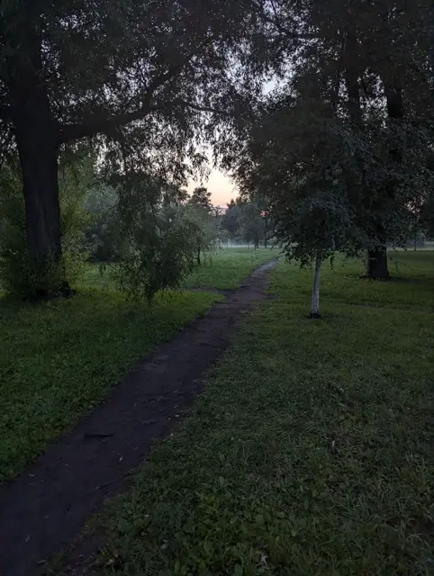a dirt path under a willow at dusk, the last orange light showing through the treeline