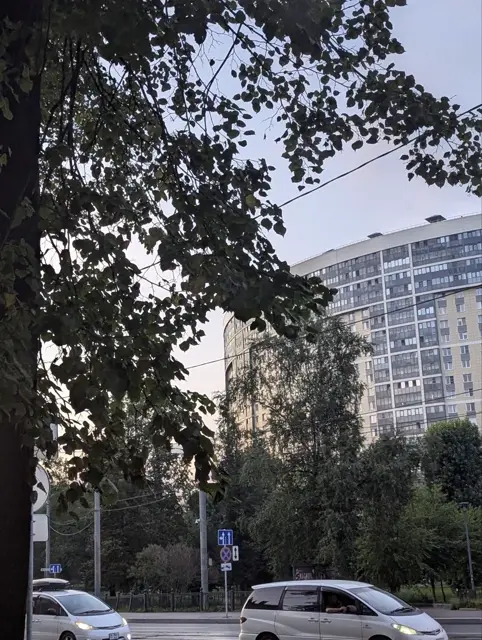 linden branches hanging over a road at dusk, a long curved apartment block behind them